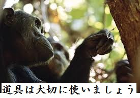 愛機
