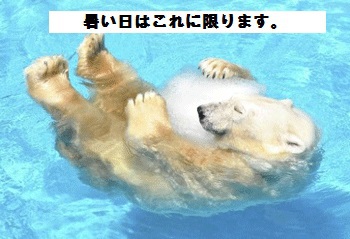 自分のブログを見ていて思ったこと
