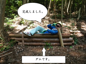 森林活動