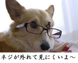 眼鏡のネジが緩んでます。