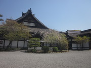 25年度　社員旅行２