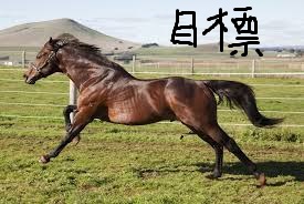 マラソン・・・じゃくて駅伝でした