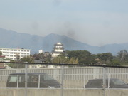２５年度初詣２