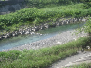 綺麗な川です