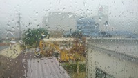 九州では昨日から大雨で東海地方は今日の大雨になるそうで・・・ 2016/06/21 08:39:33
