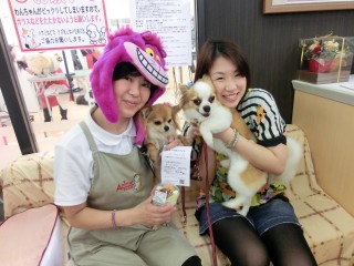 アニマルファームの子犬たち