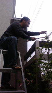 ガーデニンぐ〜(^o^)o 2009/04/21 20:30:25