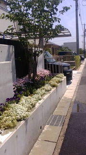 花壇… 2009/06/05 19:20:12