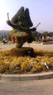 浜名湖立体花博 2009/10/16 19:51:34