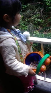 はぁ〜(´ヘ｀;) 2009/10/17 12:33:13