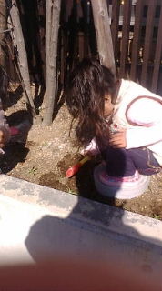 今日はオフ 2009/11/03 15:49:19