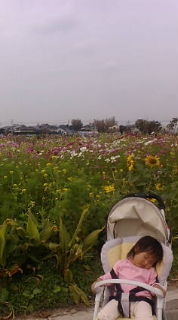 今日はオフ 2009/11/10 13:31:29