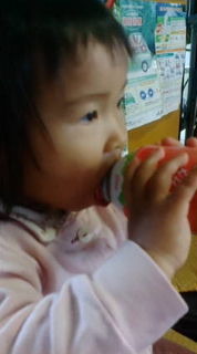 今日はオフ… 2009/12/01 13:14:54