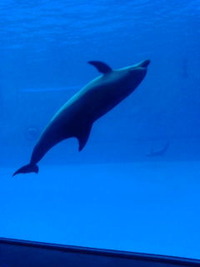 と、飛んでる～ 2010/01/10 17:44:55