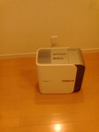 これ、な〜んだ(?_?) 2010/01/19 19:01:18