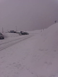 ゆ・ゆ・雪だぁ〜 2010/02/02 11:30:24