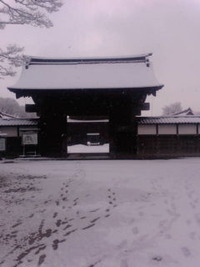 すっげー 2010/02/03 08:45:19