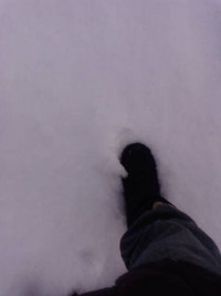 たまらんなぁ〜 2010/02/03 08:59:29