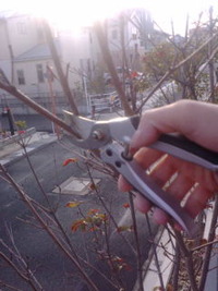 最近… 2010/02/12 18:44:10
