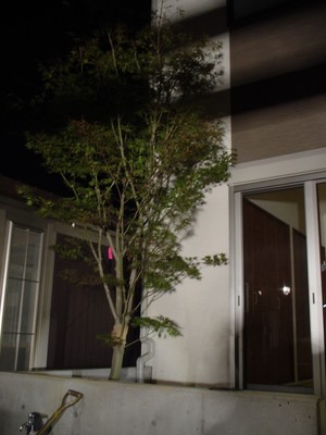 平成大不況の風が・・・