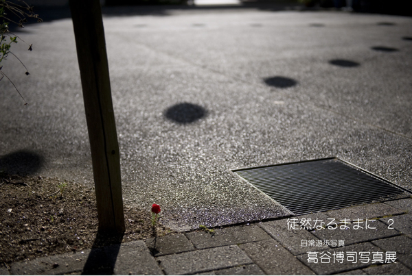 写真展のご案内
