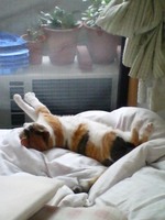 気・・・抜いてます。