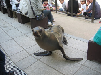 アクア・トトぎふ