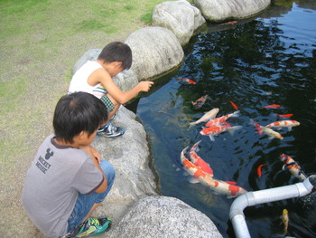 駒ヶ根市～上伊那郡を散策