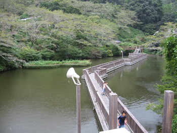 奥山で鯉に餌あげ★