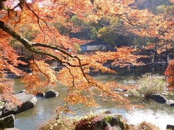 香嵐渓の紅葉