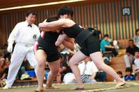 新相撲　静岡県大会