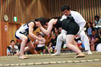 新相撲　静岡県大会