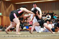 新相撲　静岡県大会