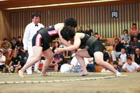 新相撲　静岡県大会