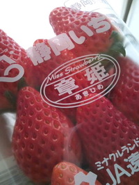 イチゴとふ菓子 2011/01/31 16:18:52