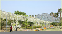 家族旅行もパークサイドホテル 2011/04/28 12:14:12