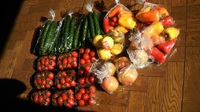 新鮮野菜　到着！ 2011/01/27 10:03:53
