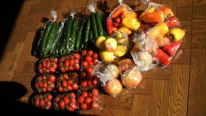 新鮮野菜　到着！