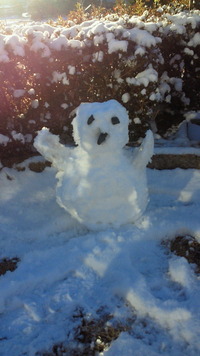 積雪 2011/01/17 22:18:27