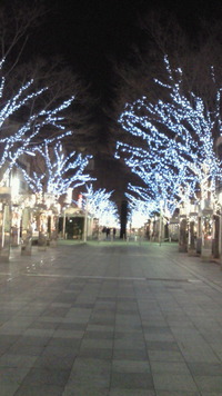 静岡 2010/02/02 22:54:11