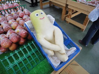 愉快なダイコン。