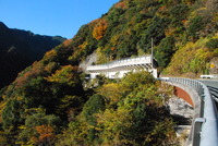湖畔も秋…。