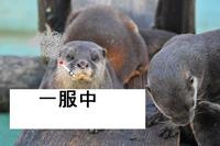 気合を入れて！！