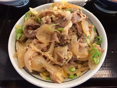 肉盛り丼