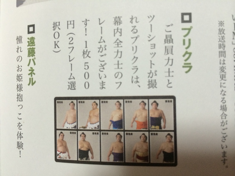 大相撲満喫入門