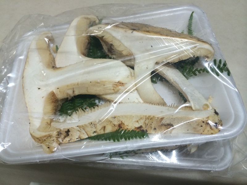 松茸？