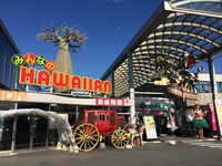 社内初詣ツアー～ハワイアン