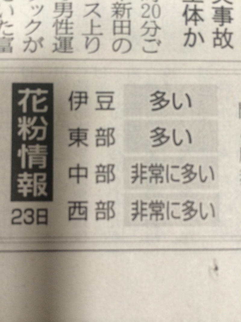 花粉と陽気
