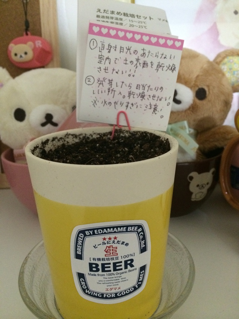 えだまめ栽培セット