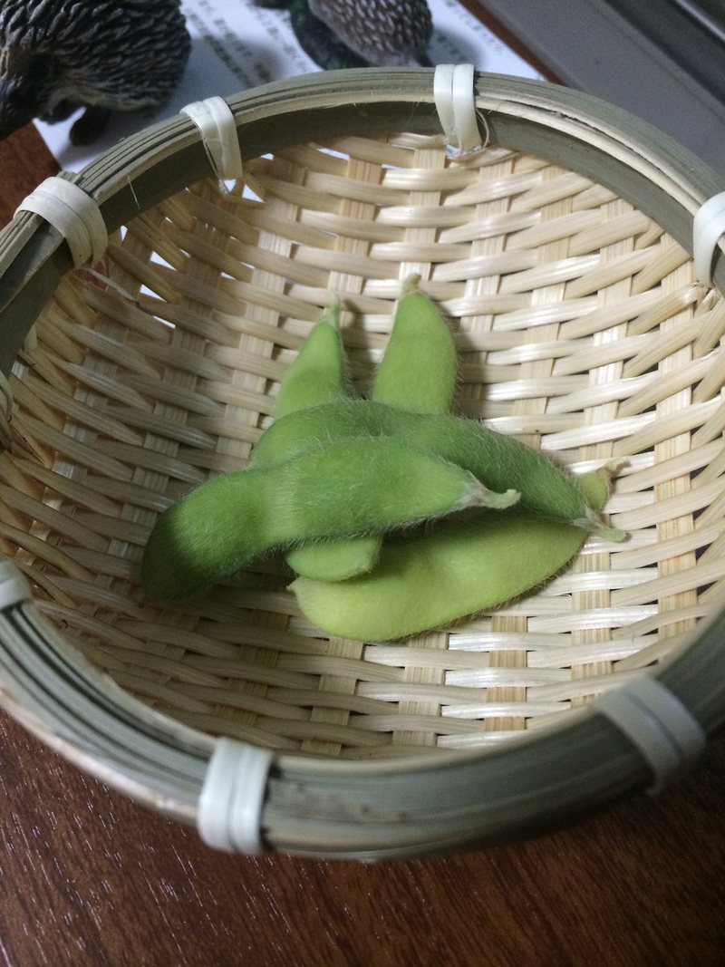 枝豆栽培記．終